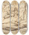 Triptych art skateboard deck of Bartolomeo Passarotti Studies Of A Left Arm A Young Woman A Madonna And Child A Face In Profile And Nude Figures by Bartolomeo Passarotti (1529-1592)