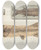 Triptych art skateboard deck of Louis Agassiz Recherches Sur Les Poissons Fossiles Pl064 by Louis Agassiz (1807-1873)