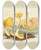 Triptych art skateboard deck of Anna Maria Hussey Illustrations Of British Mycology Pl04 by Anna Maria Hussey (1805-1853)