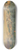 Edward Lear - The Plains of Bethany 8.25 inch art skate deck