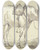 Triptych art skateboard deck of Conrad Gessner Aufgezumter Schimmel Fressend Nach Rechts by Conrad Gessner (1764-1826)