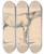Triptych art skateboard deck of Friedrich Carl Von Scheidlin Study Of A Horse I by Friedrich Carl Von Scheidlin (1822-1913)