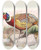 Triptych art skateboard deck of Joseph Smit Phasianus Torquatus by Joseph Smit (1836-1929)