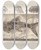 Triptych art skateboard deck of Louis Agassiz Recherches Sur Les Poissons Fossiles Pl210 by Louis Agassiz (1807-1873)
