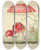 Triptych art skateboard deck of Anna Maria Hussey Illustrations Of British Mycology Pl01 by Anna Maria Hussey (1805-1853)