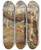 Triptych art skateboard deck of Elizabeth Murray Rotting Tree by Elizabeth Murray (1815-1882)