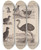 Triptych art skateboard deck of Rodolpho Von Ihering Atlas Da Fauna Do Brasil Pl22 by Rodolpho Von Ihering (1883-1939)