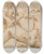 Triptych art skateboard deck of Prospero Fontana Studies For Recumbent Allegoricalfigures by Prospero Fontana (1512-1597)