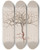 Triptych art skateboard deck of Luigi Balugani Commiphora Gileadensis L C Chr Balm Of Gilead Opobalsam_1 by Luigi Balugani (1737-1770)