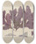 Triptych art skateboard deck of Walter Hood Fitch Cryptogamic Botany Of The Antarctic Voyage Of Hm Discovery Ships Erebus And Terror In The Years 1839 Pl49 by Walter Hood Fitch (1817-1892)