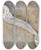 Triptych art skateboard deck of Kenyon Cox Study For Drapery Of Pursuit Of Theideal by Kenyon Cox (1856-1919)