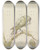 Triptych art skateboard deck of Pieter Casteels Iii Papegaai Op Een Tak Van Een Boom by Pieter Casteels Ii (1684-1749)