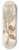 Elizabeth Blackwell - The wild pine 8.25 inch art skate deck