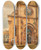 Triptych art skateboard deck of Rudolf Von Alt The Cathedral Of Sebenico Sibenik In Dalmatia by Rudolf Von Alt (1812-1905)