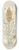 Elizabeth Blackwell - Yellow asphodel or kings spear 8.25 inch art skate deck