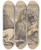 Triptych art skateboard deck of Sir George Hayter A Study From Nature A Lion Among Rocks Roaring A Human Skull Lower Right by Sir George Hayter (1792-1871)