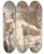 Triptych art skateboard deck of Jacob De Wit Ceres Venus Bacchus En Slapende Amor by Jacob de Wit (1695-1754)