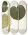 Triptych art skateboard deck of Nikolaus Joseph Freiherr Von Jacquin Piper Umbellatum by Nikolaus Joseph Freiherr Von Jacquin (1727-1817)