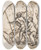Triptych art skateboard deck of Hubertfranois Gravelot Design For A Boxlid_6 by Hubert-Franois Gravelot (1699-1773)