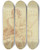 Triptych art skateboard deck of Guercino Johannes Der Evangelist Sitzend Und Schreibend by Guercino (1591-1666)