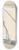 Emil Orlik - Feluke auf dem Nil (Felucca on the Nile) 8.25 inch art skate deck