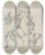 Triptych art skateboard deck of David Humbert De Superville Diverse Anatomische Tekeningen Skelet Spieren Etc by David Humbert De Superville (1770-1849)