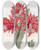 Triptych art skateboard deck of Sydenham Edwards Brickred Hybrid Cactus by Sydenham Edwards (1768-1819)