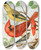 Triptych art skateboard deck of W A Blakston Cardinalsvirginian Nightingale by W A Blakston (19-)