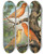 Triptych art skateboard deck of W A Blakston Cinnamon Canaries Norwich Type by W A Blakston (19-)