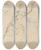 Triptych art skateboard deck of Theo Nieuwenhuis Plantenstudies by Theo Nieuwenhuis (1866-1951)