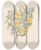 Triptych art skateboard deck of Clemenz Heinrich Wehdemann Bignoniae Nova Specie Rhigozum Obovatum by Clemenz Heinrich Wehdemann (1762-1835)
