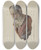 Triptych art skateboard deck of Isabella Ruth Doerfler Jenny Lind Figurehead by Isabella Ruth Doerfler
