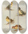 Triptych art skateboard deck of Allan Brooks Downy Young Of Whiteeyed Duck Tufted Duck Scaup Duck Lesser Scaup Duck by Allan Brooks (1869-1946)