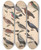 Triptych art skateboard deck of Lorenz Oken Allgemeine Naturgeschichte Fur Alle Stande Pl069 by Lorenz Oken (1779-1851)