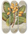 Triptych art skateboard deck of Sarah Featon Karaka Corynocarpus Ioevigata Plate 24 by Sarah Featon (1848-1927)