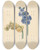 Triptych art skateboard deck of Maria Margaretha Van Os Twee Hyacinten_2 by Maria Margaretha Van Os (1779-1862)
