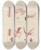 Triptych art skateboard deck of Walter Hood Fitch Cryptogamic Botany Of The Antarctic Voyage Of Hm Discovery Ships Erebus And Terror In The Years 1839 Pl19 by Walter Hood Fitch (1817-1892)
