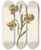 Triptych art skateboard deck of M De Gijselaar Tak Met Drie Gele Lelies by M. de Gijselaar (19-)