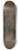 Ernst Ludwig Kirchner - Kopf Dr. Bauer, Zeichnungsstock 8.25 inch art skate deck