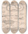 Triptych art skateboard deck of Lorenz Oken Allgemeine Naturgeschichte Fur Alle Stande Pl067 by Lorenz Oken (1779-1851)