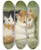 Triptych art skateboard deck of Henritte Ronnerknip Two Kittens Sitting On A Cushion by Henritte Ronner-Knip (1821-1909)