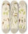 Triptych art skateboard deck of Walter Hood Fitch Cryptogamic Botany Of The Antarctic Voyage Of Hm Discovery Ships Erebus And Terror In The Years 1839 Pl05 by Walter Hood Fitch (1817-1892)