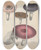 Triptych art skateboard deck of Friedrich Berge Giftpflanzenbuch Pl66 by Friedrich Berge (1811-1883)