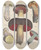 Triptych art skateboard deck of Friedrich Berge Giftpflanzenbuch Pl68 by Friedrich Berge (1811-1883)