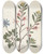 Triptych art skateboard deck of Ellen W Album Of Cutpaper Flowers Pl20 by Ellen W (19-)