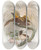 Triptych art skateboard deck of Daniel Giraud Elliot Paradisea Minor by Daniel Giraud Elliot (1835-1915)