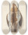 Triptych art skateboard deck of Johanna Fosie Studie Af To Dde Sangdrosler by Johanna Fosie (1726-1764)