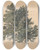 Triptych art skateboard deck of Friedrich Carl Von Scheidlin Study Of A Treetop by Friedrich Carl Von Scheidlin (1822-1913)