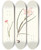 Triptych art skateboard deck of Priscilla Susan Bury 1 Zephyranthes Carinatus 2 Zephyranthes Rosea by Priscilla Susan Bury (1799-1872)