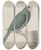 Triptych art skateboard deck of Ren De Rabi Natural History Of Saint Domingue Pl006 by Ren de Rabi (1700-1785)